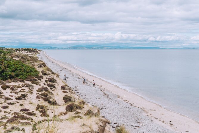 1 Day Moray Coast Tour with Speyside Whisky from Inverness - Your guide makes the day, especially on the coast