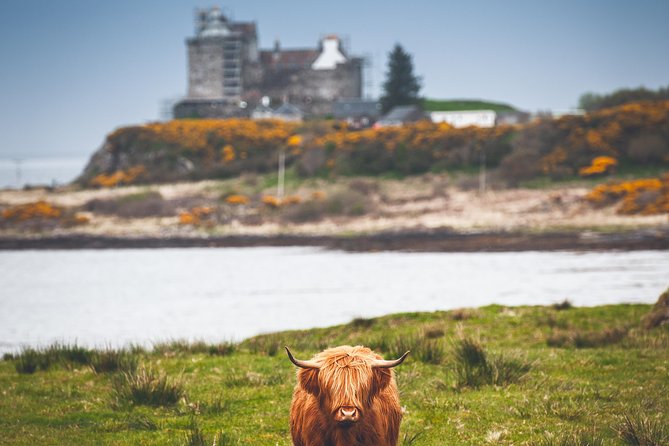 3-Day Isle of Mull and Iona Small-Group Tour from Glasgow - The 16-seat Mercedes mini-coach: comfort, timing, and the real rules