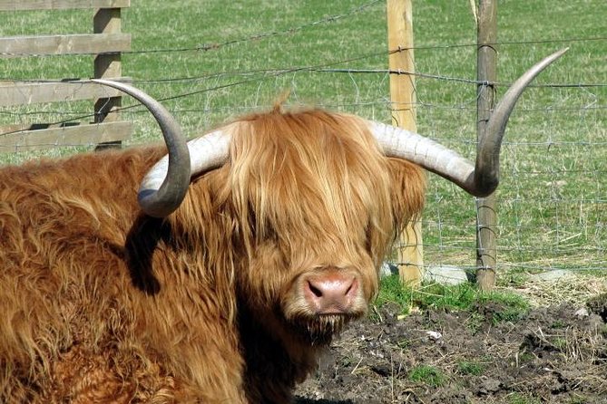 3-Day Isle of Skye and Highlands Tour from Glasgow - Day 2: Isle of Skye Highlights, from the Cuillin Hills to Portree and Eilean Donan