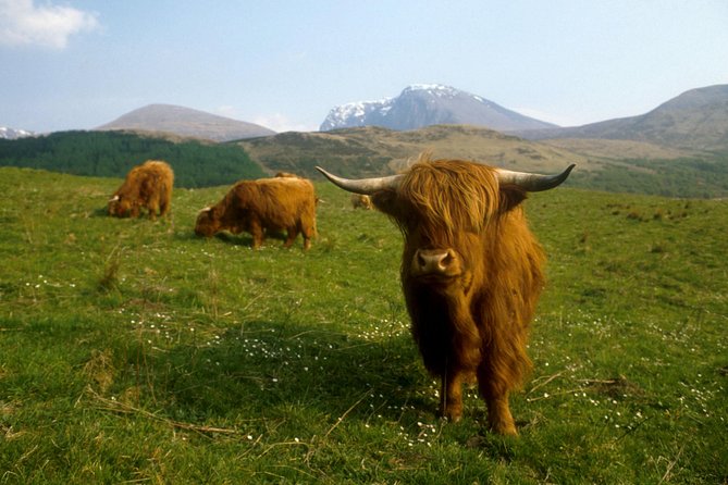 3-Day Isle of Skye, 'Hogwarts Express' Train and Highlands Tour - Where to stay in Portree, and what your hotel choices likely feel like