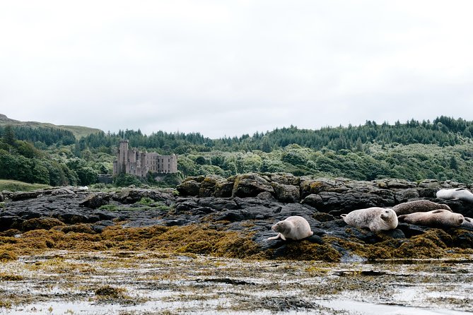 3-Day Isle of Skye, 'Hogwarts Express' Train and Highlands Tour - Timing tips that save stress on arrival and connections