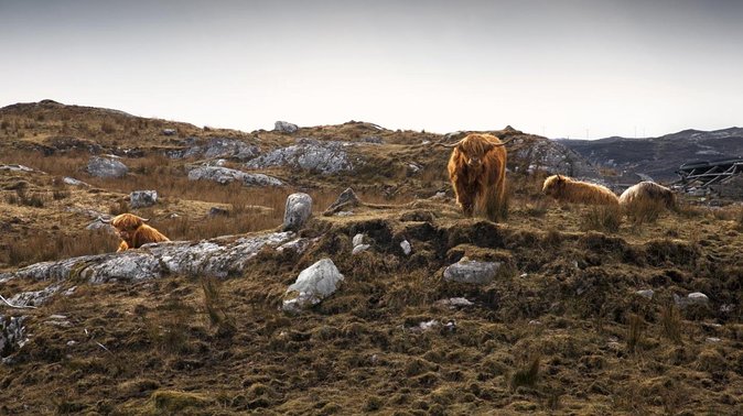 3-Day Lewis, Harris and the Outer Hebrides Small-Group Tour from Inverness - A smart 3-day shape for Lewis and Harris from Inverness