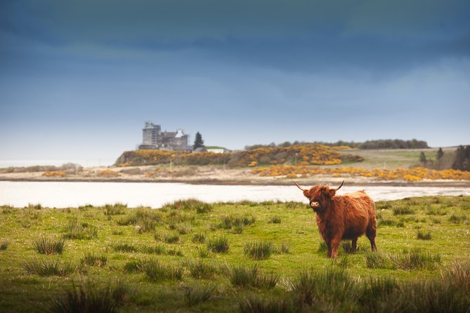 4-Day Magical Mull, Iona & West Highlands Small-Group Tour from Edinburgh - Tobermory Distillery and visitor time: a short stop with big local flavor
