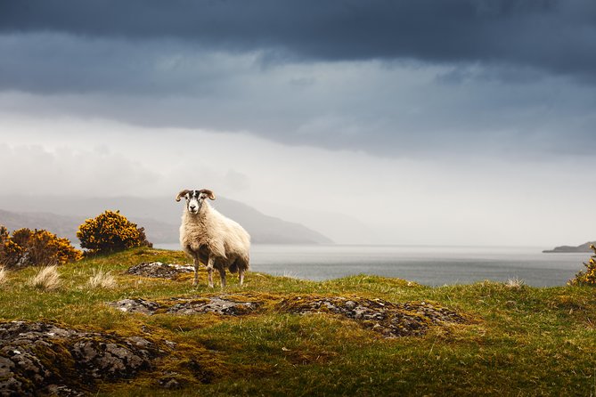 5-Day Iona, Mull and the Isle of Skye Small-Group Tour from Edinburgh - From Edinburgh to the West Highlands: why the route feels efficient