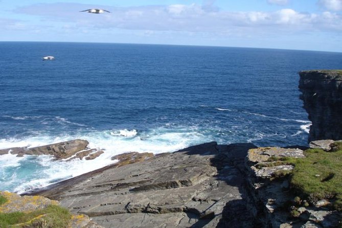 5-Day Orkney & Northern Coast Tour from Edinburgh Incl Admissions - The Most Valuable Part: How the Guide Changes What You Notice