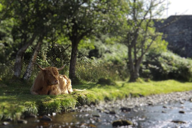 A taste of Scotland Full-Day Private Tour - A Private Day That Actually Starts at Your Door