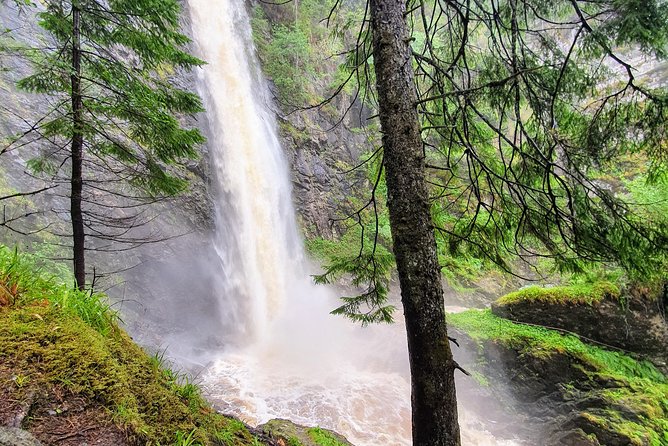 Alternative Loch Ness Tour by Secret Highlands - How the 8-hour schedule really feels