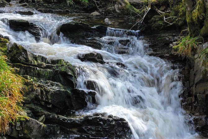 Alternative Loch Ness Tour by Secret Highlands - Comfort, included extras, and what you still need to plan