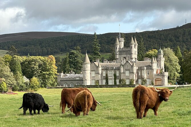 Balmoral & Royal Deeside Tour - Price and value: what the $144.31 covers, and what costs extra