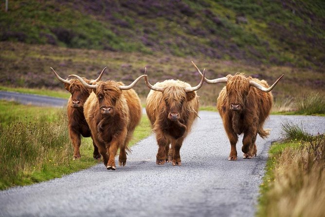 Bespoke 5 day Tour - your personal itinerary - Day 4: Mary Queen of Scots at Falkland Palace, whisky at Edradour, and Cairngorms green lochs