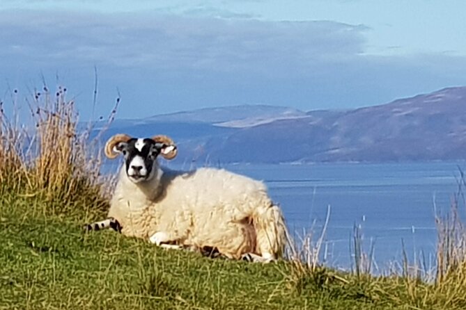 Bespoke Private Tours of Scotland and the Borders - Stop 1: Scottish Highlands and the art of going beyond the obvious