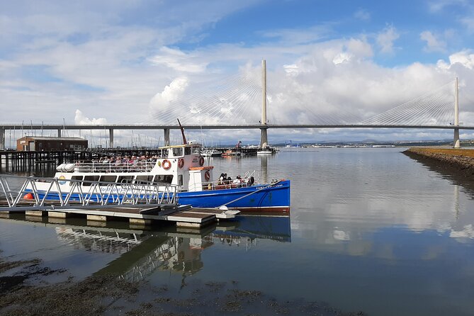 Blackness Castle Cruise - Wildlife on the Firth: seabirds, porpoises, and seals