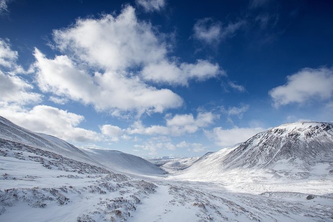 Cairngorms & Whisky Day Tour from Inverness Including Admission - The small-group feel in a 16-seat Mercedes coach