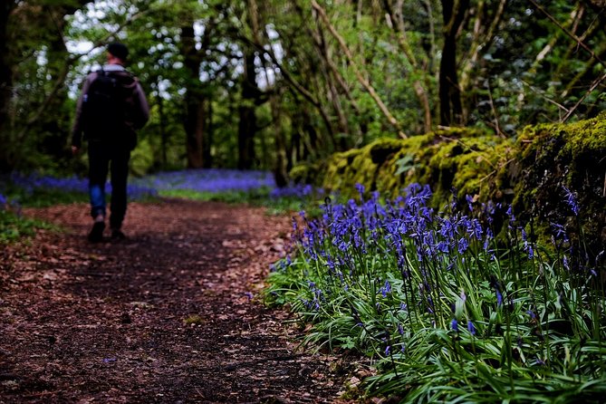 Central Scotland Driving Tour - Stirlingshire (Private) - Deanston Distillery: a tour plus tastings, with timing that still works