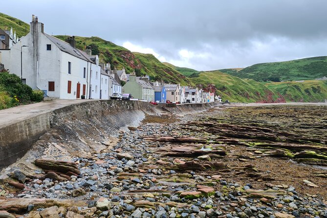 Coastal Villages of Aberdeenshire - Newburgh Seal Beach: a wildlife ending you can actually time your eyes for