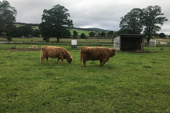 Culloden Battlefield, Clava Cairns and Loch Ness, Urquhart Castle - Culloden Battlefield: why you want real time, not a fast photo stop