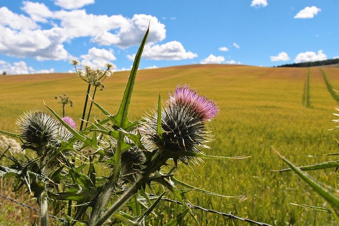 Cycle To Loch Ness - Self Guided - Dores Inn, Beach Time, and Choosing Your Lunch