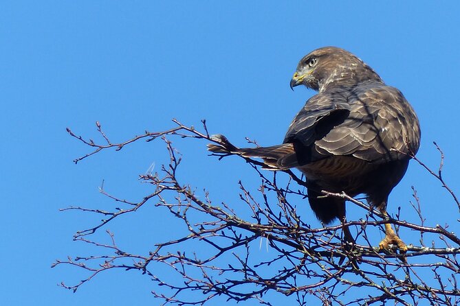Discovery Wildlife Safari - Where the safari starts, and why that matters for your time