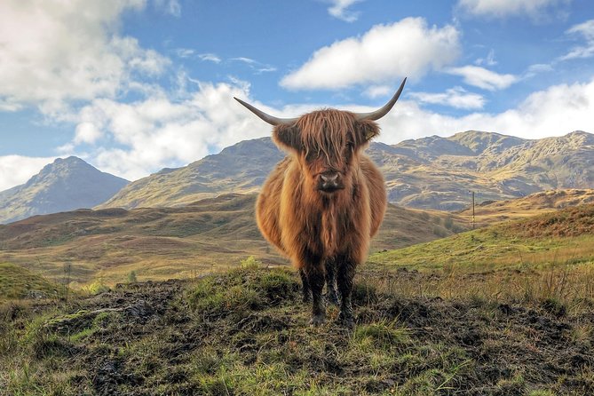 Edinburgh: Eilean Donan, Loch Ness & Glenfinnan - 2 Day Tour - Day 1: Loch Lomond and Inveraray, then Glencoe and Glenfinnan