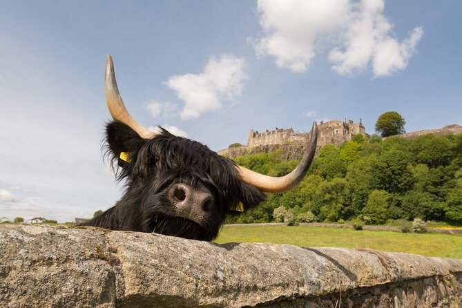 Edinburgh: Loch Lomond, Stirling Castle and the Kelpies Day Tour - Loch Lomond at Balloch: cruise or shoreside walk
