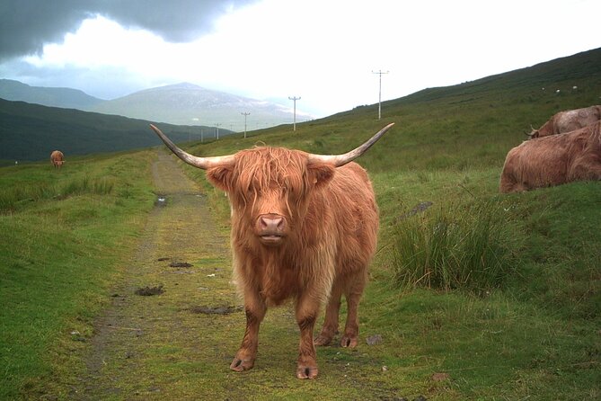 Edinburgh: Private Loch Ness Glencoe and The Highlands Tour - Private Loch Ness and Highlands from Edinburgh, with the right kind of comfort