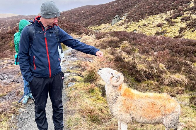 English Speaking Homestay Exploring Edinburgh and National Parks - Why this Edinburgh and national parks homestay feels practical