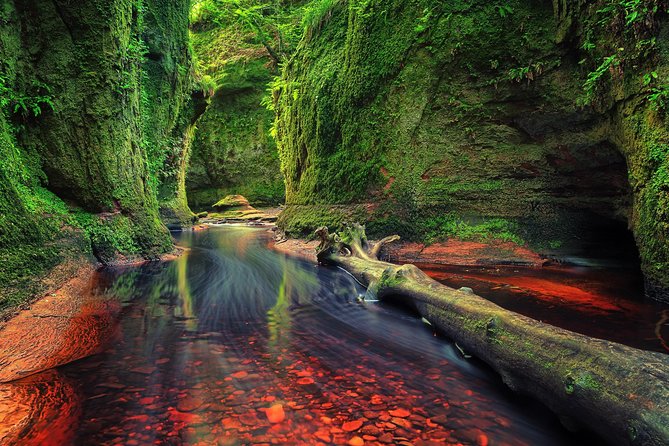 Find a hidden Glen in Scotland's woods - Key highlights you’ll feel right away