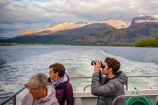 Fort William Seal Island Cruise - Key takeaways from the Loch Linnhe seal cruise