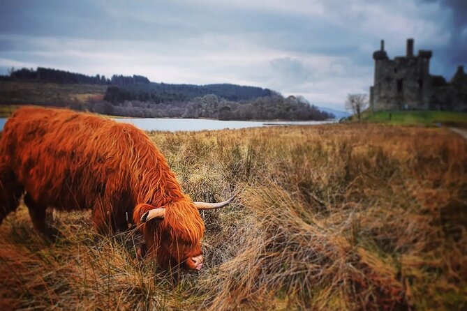 Full Day Private Tour in West Highlands, Oban and Glencoe - Loch Lubnaig: the quick reset in Loch Lomond National Park