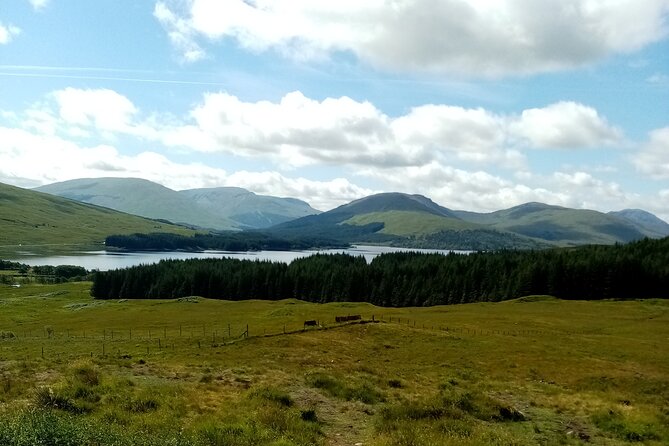 Full-Day Tour to the Scottish Highlands - The early run: Mary Queen of Scots, Stirling Castle, and the Kelpies