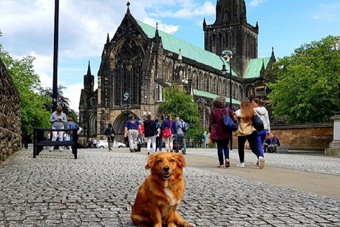 Gander Walking Tours in Glasgow - Duke of Wellington Statue: cones, traditions, and Glasgow humor