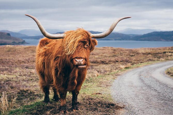 Glasgow: Isle of Skye, The Highlands and Loch Ness - 3 Day Tour - Practical tips: make the most of short stops and Scottish weather