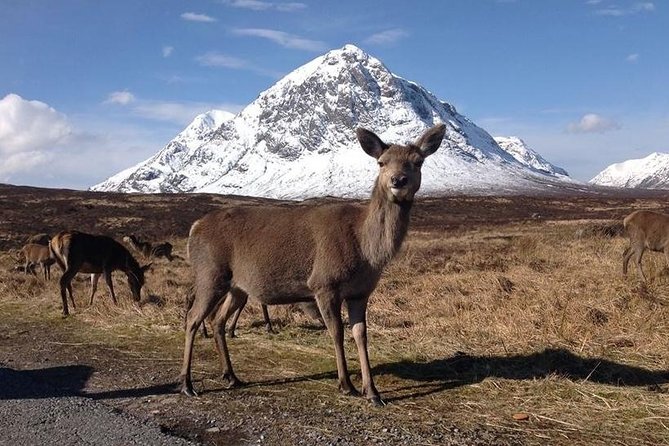 Glasgow: Loch Ness, Glencoe, and the Highlands Day Tour - Pitlochry stop at the Visitscotland Icentre: a short village finish
