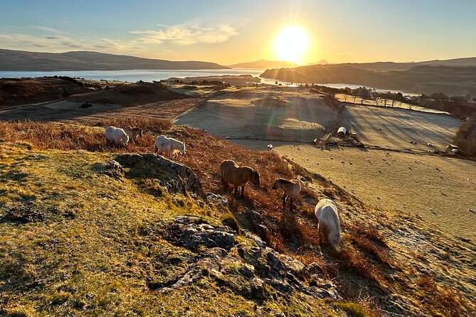 Guided Hebridean Farm Hike near Tobermory, Isle of Mull, Scotland - What to pack: boots, water, and waterproofs