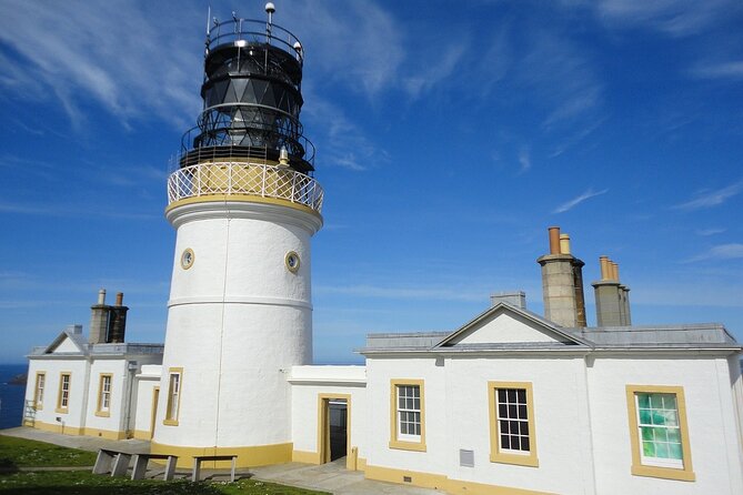 Half Day Private Tour with Puffins, Ponies and Past Shetland - Key highlights I’d plan my Shetland afternoon around