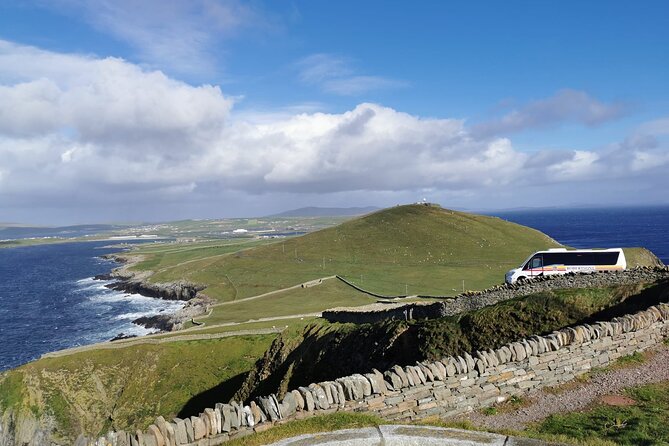 Half Day Private Tour with Puffins, Ponies and Past Shetland - Carol’s Ponies: meeting Shetland packing ponies and staying carrot-safe