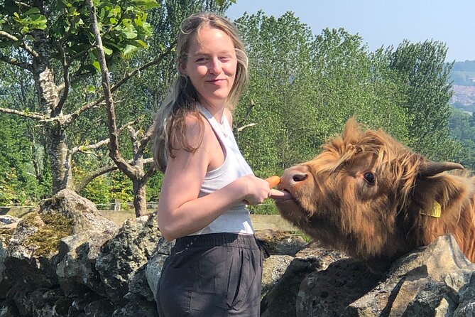 Highland Cows, Walk Alpacas & Scottish Wildlife Centre from Edin. - Scottish Deer Centre: 12 deer species plus wolves, bears, and big birds