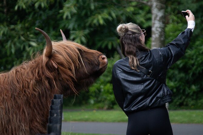 Highlands Cows Glencoe and Castles Private Tour from Edinburgh - Key things to know before you go