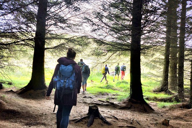 Hill & Nature Hike - Discover Real Edinburgh With a Local Expert - Breaks, Water, Snacks, and the Pace That Keeps You Moving