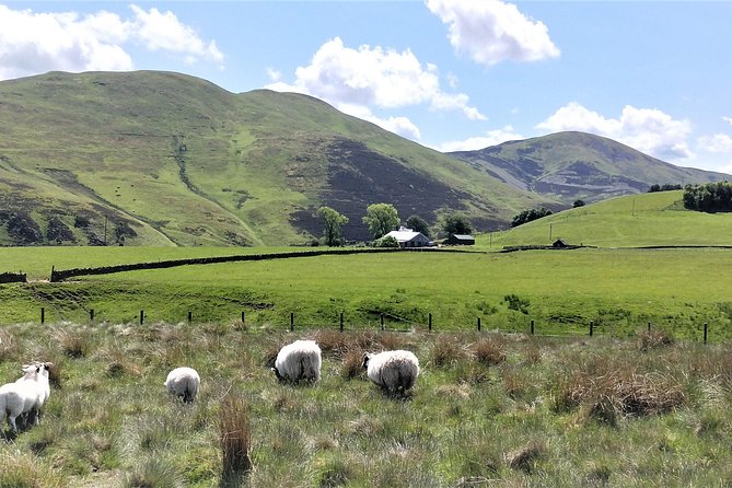 Hill & Nature Hike - Discover Real Edinburgh With a Local Expert - Views That Feel Like a Bonus, Not the Only Goal