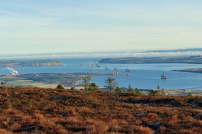 Invergordon cruise excursion Small Group Dunrobin Castle & More - Loch Fleet Reserve Between Dornoch and Golspie