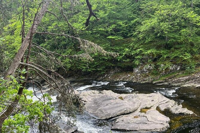 Invergordon or Inverness: Loch Ness Explorer Private Tour - Invermoriston Falls: a short woodland walk with salmon season odds