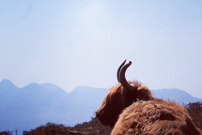 Isle of Skye and Fairy Pools Day Tour leaving from Portree - Key highlights worth planning around