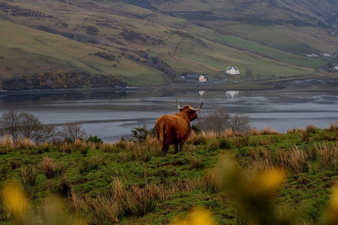 Isle of Skye and the Fairy Pools Tour - Loch Ness: Monster Lore, Quick Photos, and Urquhart Castle Views