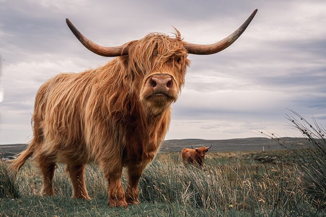Isle of Skye Day Tour from Fort William - How this Skye day tour works from Fort William