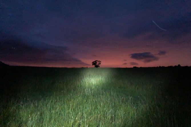 Join the Dark Side of Magical Nature - What the 2 hours on-site really means (and what you might miss)