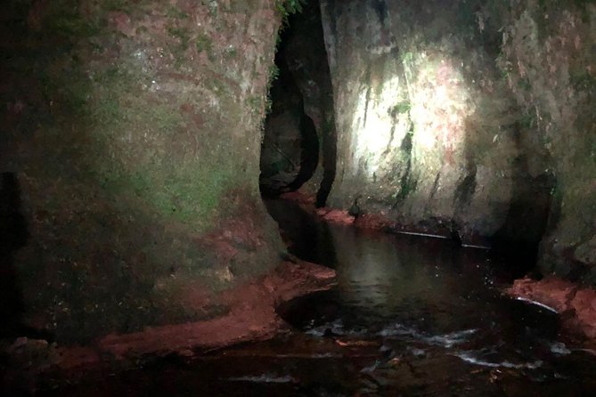 Join the Dark Side of Magical Nature - Timing and logistics: how the 3 hours fits Glasgow plans