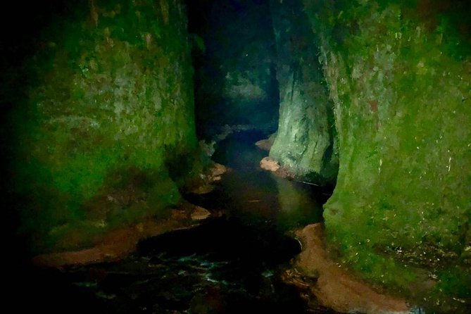 Join the Dark Side of Magical Nature - A small-group glen tour you can actually hear
