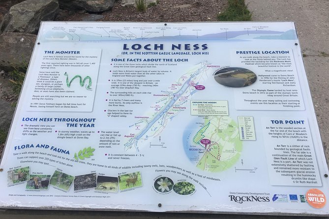 Legendary Loch Ness and Urquhart Castle Tour - Wildlife spotting and how guides help your day work better