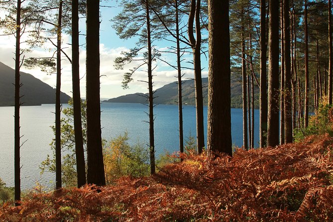 Loch Lomond, Kelpies & Stirling Castle Tour Including Admission - What to pack and plan for, from cold buses to wind